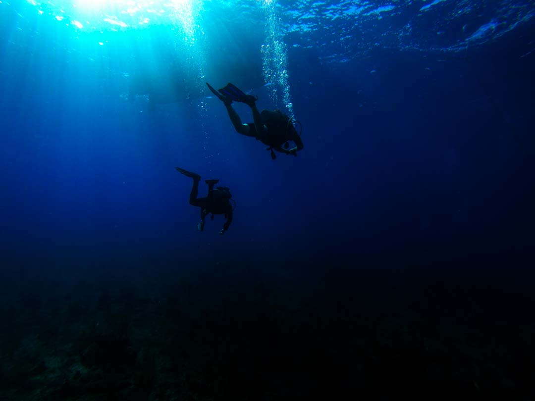 best scuba diving caribbean