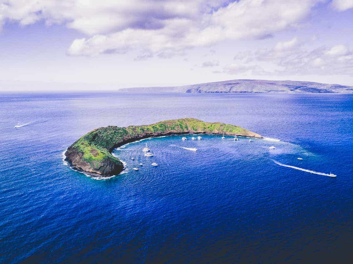 best diving in maui