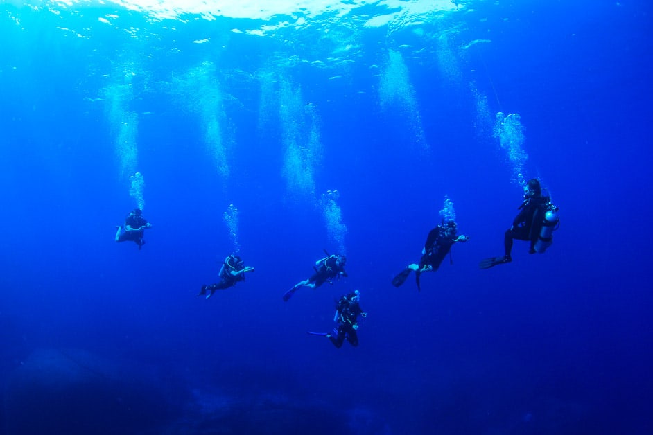 WHAT SHOULD SCUBA DIVERS DO FOR THEIR OWN SAFETY?