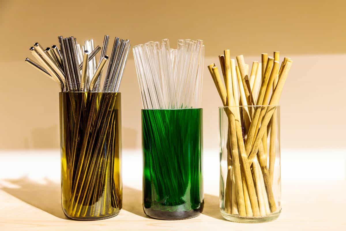 alternatives to plastic straws
