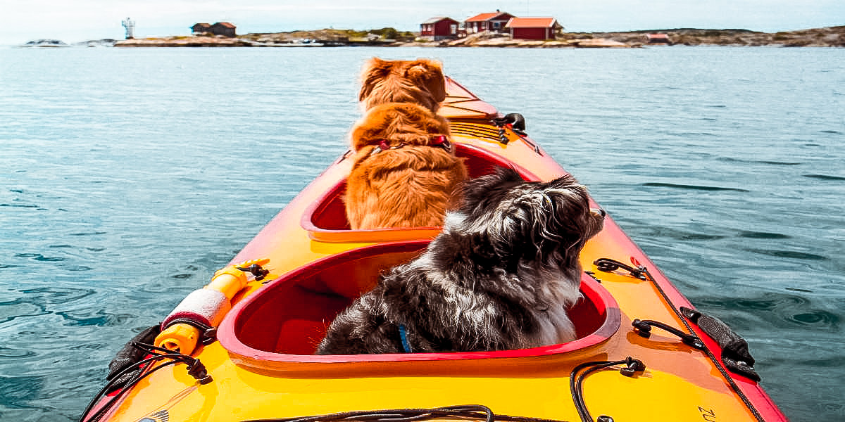 BEST KAYAKS FOR DOGS 2023