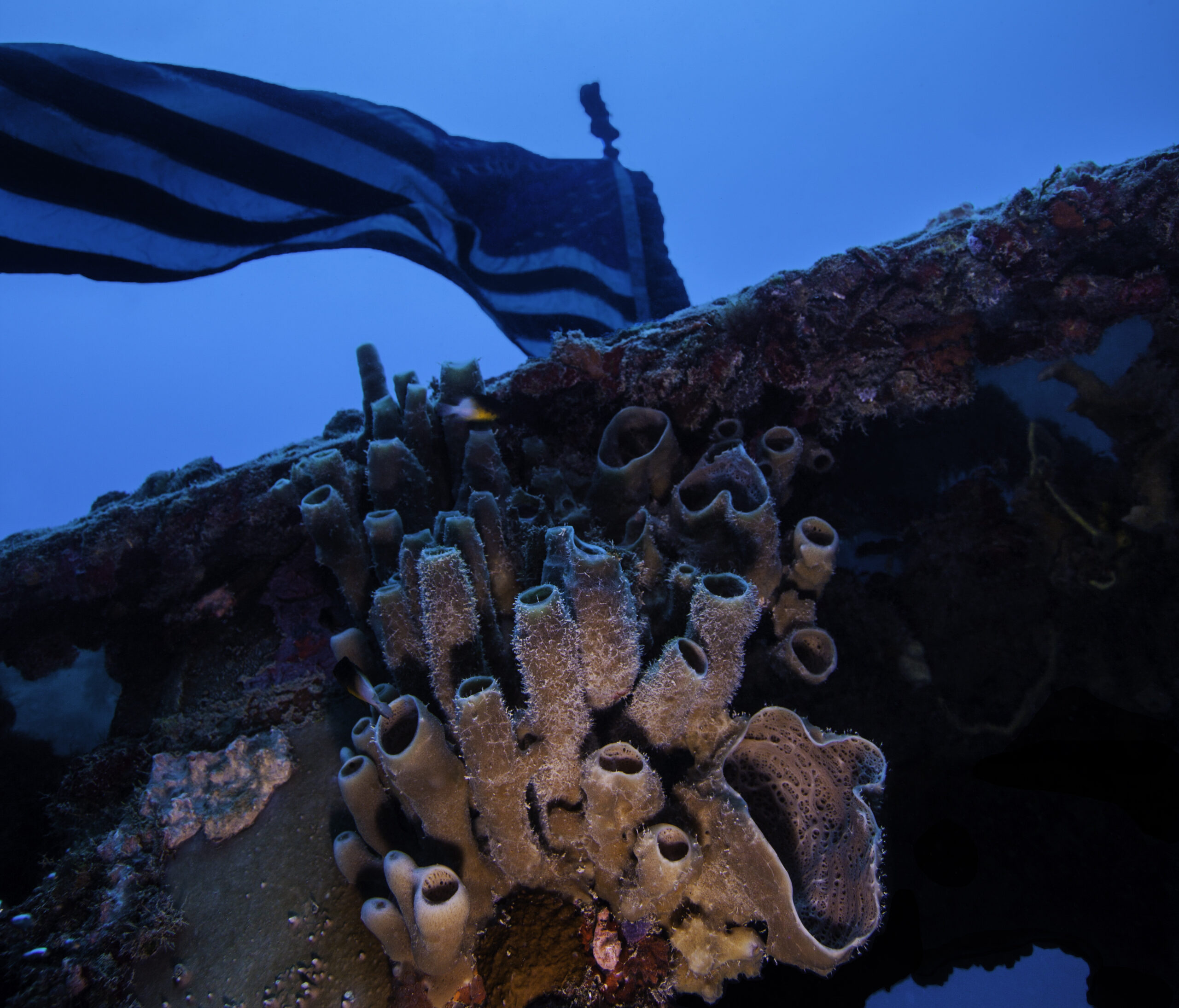 BEST WRECK DIVING SITES ON THE PLANET